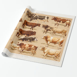 Papier Cadeau Illustration vintage de ferme de vaches laitières