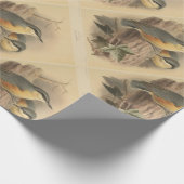 Papier Cadeau Illustration vintage de Nuthatch (Coin)