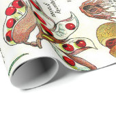 Papier Cadeau Illustrations botaniques (Coin rond)