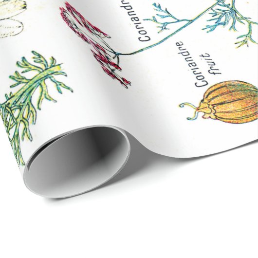 Papier Cadeau Illustrations botaniques (Coin rond)