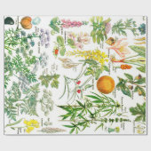 Papier Cadeau Illustrations botaniques (Plat)