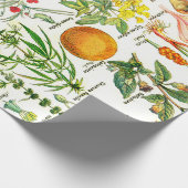 Papier Cadeau Illustrations botaniques (Coin)