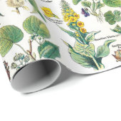 Papier Cadeau Illustrations botaniques Papier d'enveloppement (Coin rond)