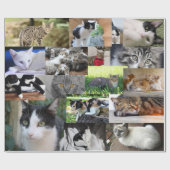 Papier Cadeau Image de différents chats (Plat)