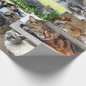 Papier Cadeau Image de différents chats (Coin)