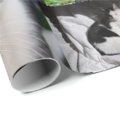 Papier Cadeau Image de différents chats (Coin rond)