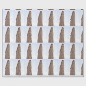 Papier Cadeau immeuble Flatiron (Plat)