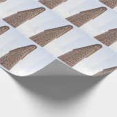 Papier Cadeau immeuble Flatiron (Coin)