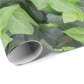 Papier Cadeau Impression botanique verte Ivy (Coin rond)