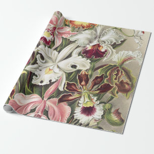 Papier Cadeau Impression botanique vintage d'orchidée par Ernst 
