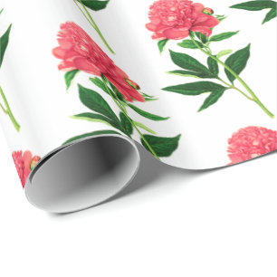 Papier Cadeau Impression Botanique vintage, Peine rose corail