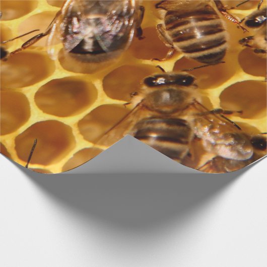 Papier Cadeau Impression d'abeilles miel (Coin)