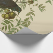 Papier Cadeau Impression d'oiseau Grackle violet d'Audubon Botan (Coin)