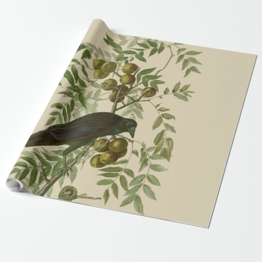 Papier Cadeau Impression d'oiseau Grackle violet d'Audubon Botan (Déroulé)