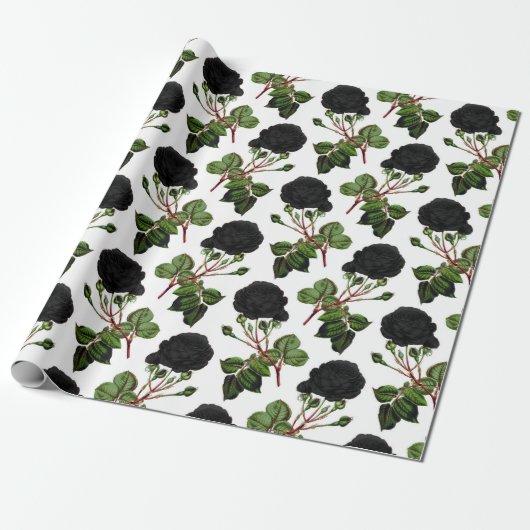 Papier Cadeau Impression Rose Noire (Déroulé)