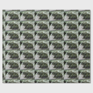 Papier Cadeau Incilius alvarius