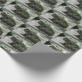 Papier Cadeau Incilius alvarius (Coin)