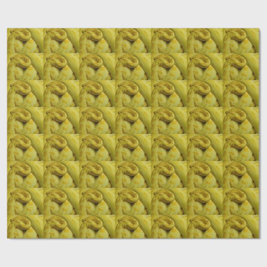 Papier Cadeau Incroyable Python birman jaune (Plat)
