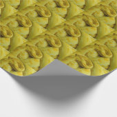 Papier Cadeau Incroyable Python birman jaune (Coin)
