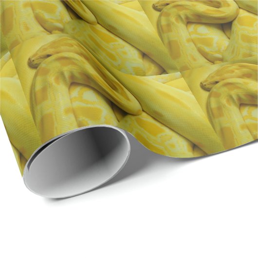 Papier Cadeau Incroyable Python birman jaune (Coin rond)
