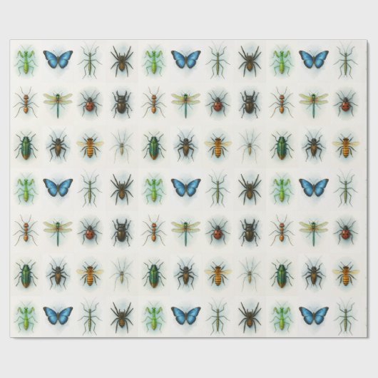 Papier Cadeau Insect collection watercolor paintings bug art  (Plat)