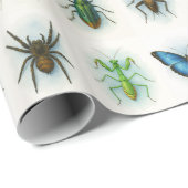 Papier Cadeau Insect collection watercolor paintings bug art  (Coin rond)