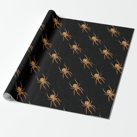 Papier Cadeau insecte macro araignée colombie (Déroulé)