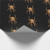 Papier Cadeau insecte macro araignée colombie (Coin)