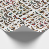 Papier Cadeau Insectes (Coin)