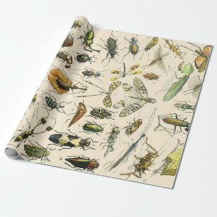 Papier Cadeau Insectes et bogues