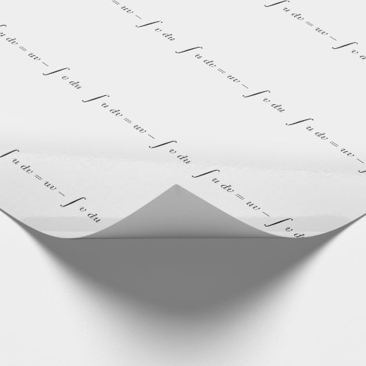 Papier Cadeau Intégration par des pièces (Coin)