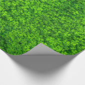 Papier Cadeau Ireland (Coin)