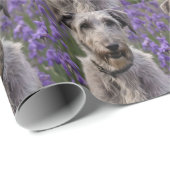 Papier Cadeau Iris Irish Wolfhound, (Coin rond)