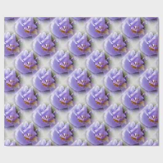 Papier Cadeau iris pourpre (Plat)