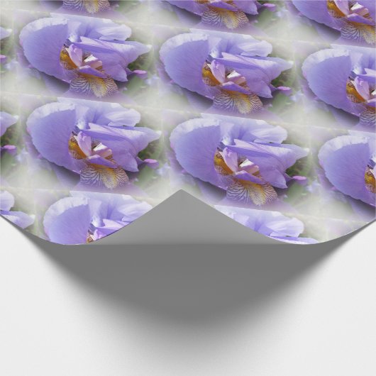 Papier Cadeau iris pourpre (Coin)