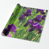 Papier Cadeau Iris pourpre (Déroulé)