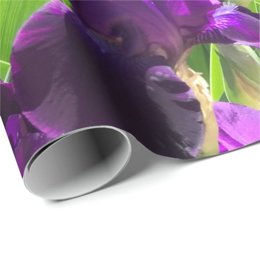 Papier Cadeau Iris pourpre (Coin rond)