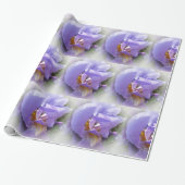 Papier Cadeau iris pourpre (Déroulé)