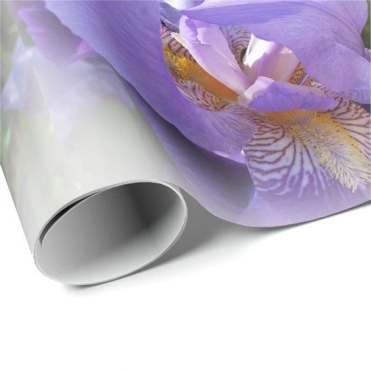 Papier Cadeau iris pourpre (Coin rond)