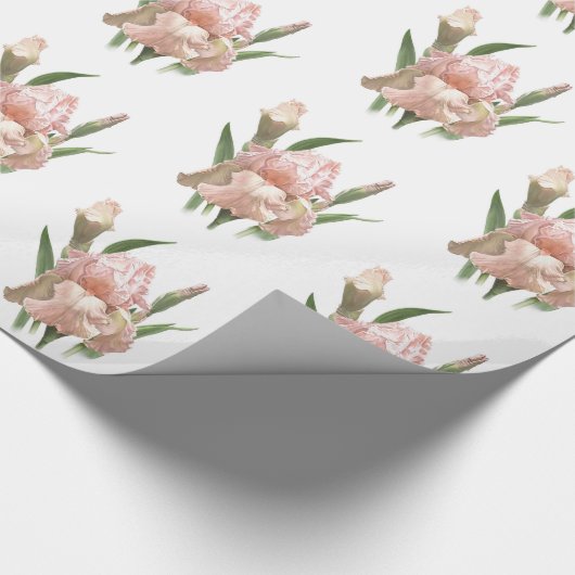 Papier Cadeau Iris rose (Coin)