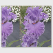 Papier Cadeau Iris violet iris fleurs Lavender Lilac Learé (Plat)