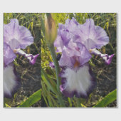 Papier Cadeau Iris violet iris fleurs Lavender Lilac Learé (Plat)