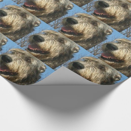 PAPIER CADEAU IW (Coin)