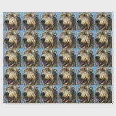 PAPIER CADEAU IW (Plat)