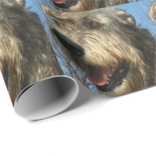 PAPIER CADEAU IW (Coin rond)