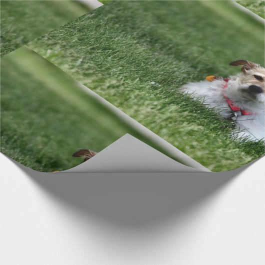 Papier Cadeau Jack (Coin)