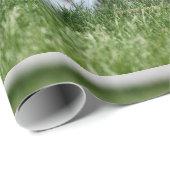 Papier Cadeau Jack (Coin rond)