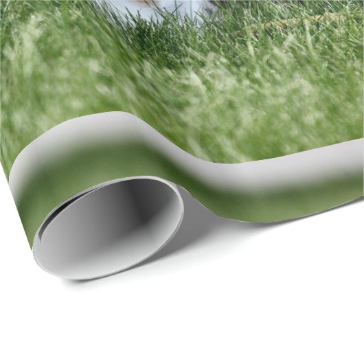 Papier Cadeau Jack (Coin rond)