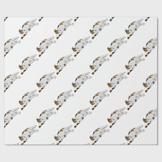 Papier Cadeau Jack Russell (Plat)