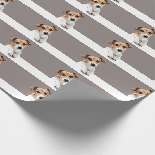 Papier Cadeau Jack Russell Chien Chien Chien Chien adorable Douc (Coin)